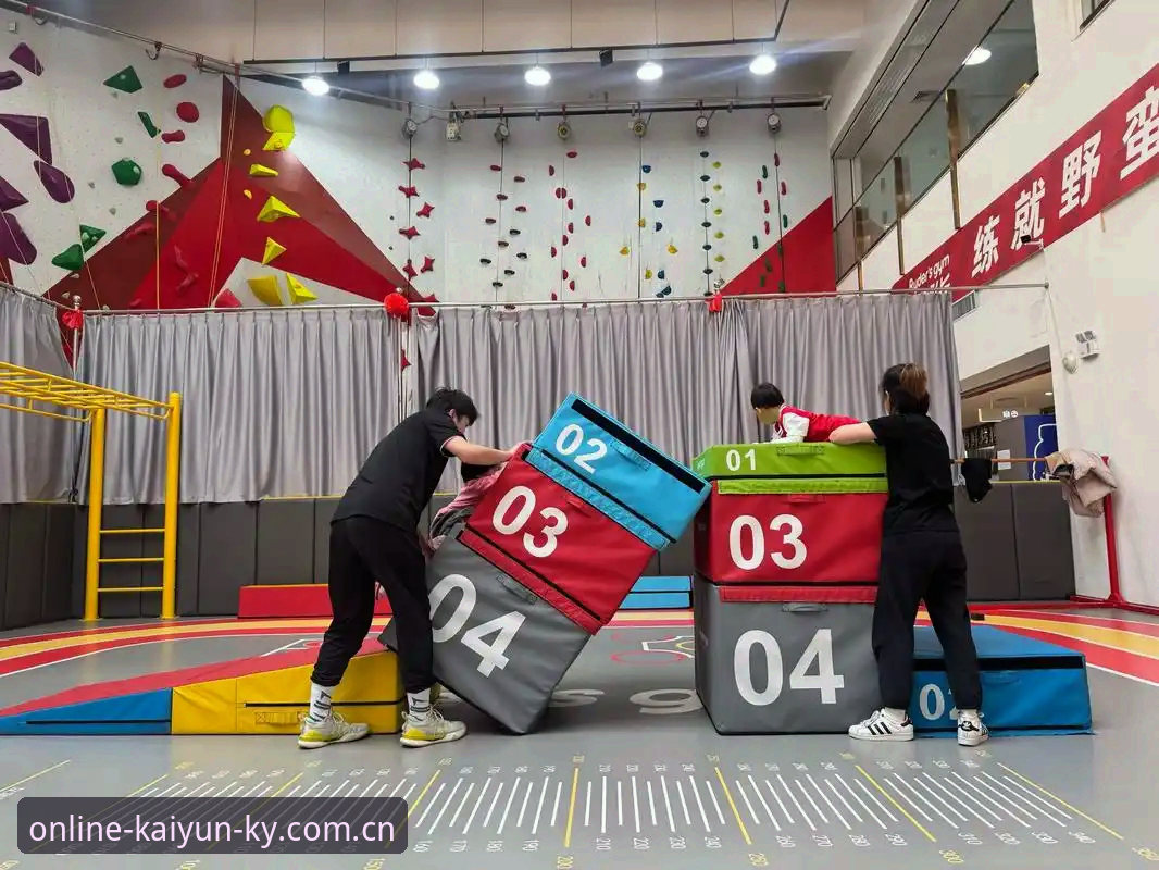 2026KY体育平台深度剖析：实战派用户如何高效获取正版买球体验